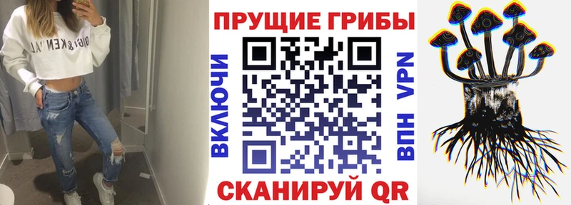 Купить где  Ивантеевка  Псилоцибиновые грибы ЛСД 